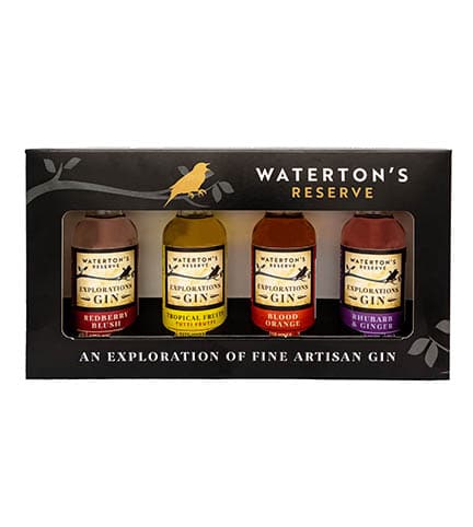 Gin experience gift set- explorations image 0